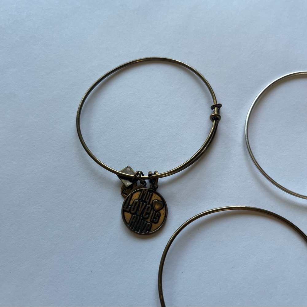 Alex and Ani Assorted Charm Bracelets - Picture 5 of 6